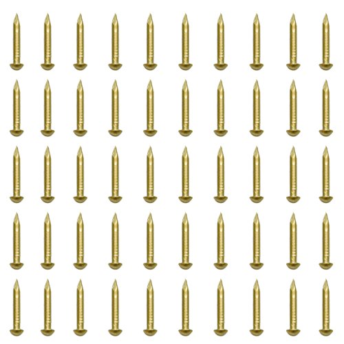 RZDEAL 100 PCS 0.08'' x 0.6'' Round Head Brass Nails for Hinges Boxes Craft Projects(DIY) - size: 0.08'' x 0.6''