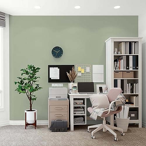Glidden Total Interior Wall Paint & Primer All-in-One, Gargoyle/Green, Flat, 1 Gallon - color: Gargoyle, size: 128 Fl Oz (Pack of 1)