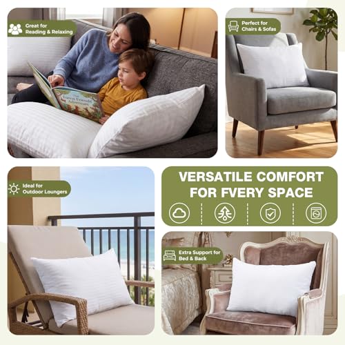 Leinuosen 3 Pcs 16x26 Shredded Memory Foam Couch Back Cushion Replacement - size: 16 x 25 Inch