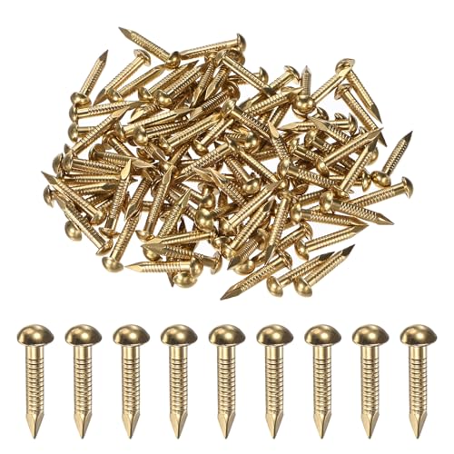M METERXITY 100-Pack Small Tiny Nails, 2.8mm x 20mm Brass Precision MIni Nails Hardware Round Head for Wooden/DIY Crafts Decorative/Household Accessories/Picture Hanging - size: 2.8mm x 20mm
