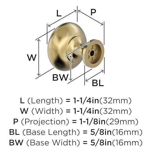 Amerock 1-1/4" Round Edona Polished Brass Cabinet Knob - color: Polished Brass, size: 1-1/4 Inch (32 mm) Diameter