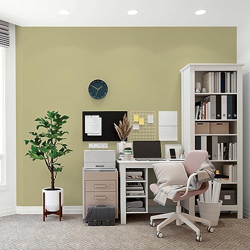 Glidden Total Interior Wall Paint & Primer All-in-One, Cress Green/Green, Flat, 1 Gallon - color: Cress Green, size: 128 Fl Oz (Pack of 1)