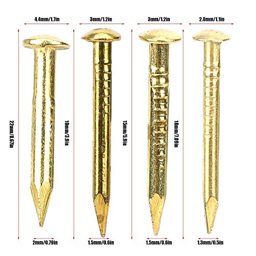 HEEPDD 100Pcs Brass Escutcheon Tacks, Round Head Brass Brad Nail (15mm) - color: 15mm Length