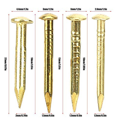 HEEPDD 100Pcs Brass Escutcheon Tacks, 10mm Round Head Brass Brad Nail - color: 10mm Length
