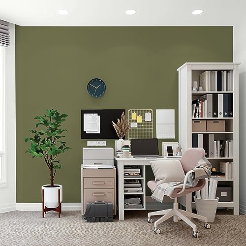 Glidden Total Interior Wall Paint & Primer All-in-One, Gratefully Grass/Green, Flat, 1 Gallon - color: Gratefully Grass, size: 128 Fl Oz (Pack of 1)