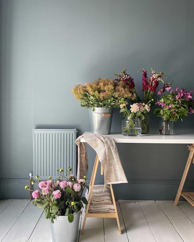 Annie Sloan Satin Paint (Cambrian Blue, 25 Fl Oz/750 mL). Soft sheen for interior wood and metal. Self-leveling, all-in-one paint with no wax or lacquer required. - color: Cambrian Blue