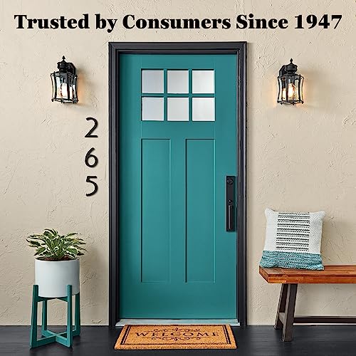 Krylon Coarse Stone Textured Finish, Obsidian, 12 oz - color: Obsidian