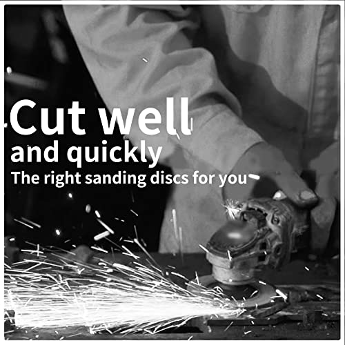 5 Inch Sanding Discs Hook and Loop | 600 Grit Sandpaper | Orbital Sander Pads | Sand Paper for Automotive and Woodworking | 50 Pack - style: 600 Grit
