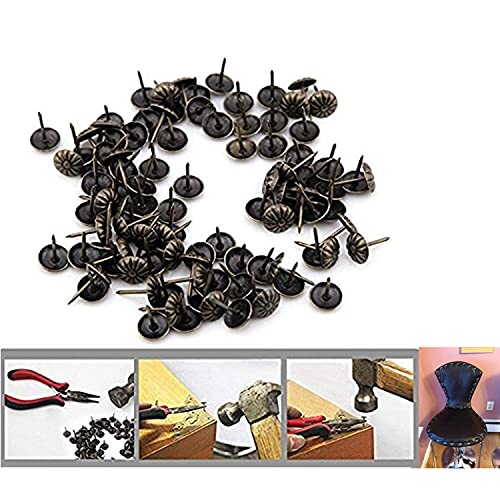 Hilitand 100pcs Upholstery Tacks,Furniture Nails Pins Sofa Rivet Upholstery Pins Craft Thumbtack Tack,Antique Brass (Daisy Nail 11x16mm)