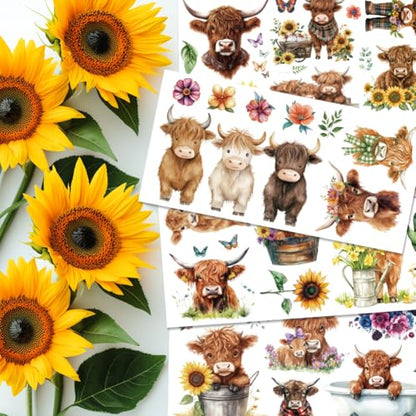 4 Sheets Highland Cow Rub on Transfers for Furniture Crafts 6x12 - color: Highland Cattle
