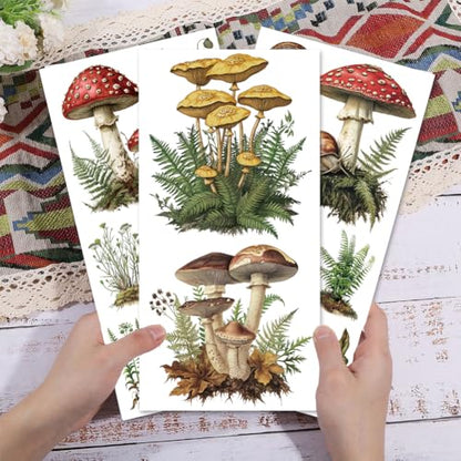 GLOBLELAND 3 Sheets Vintage Mushrooms Transfer for Furniture 6×12 inch - style: Mushrooms