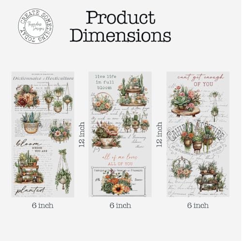 Rub on Transfers for Crafts and Furniture | 3 Design Sheets 6”x 12” | Home Decor Transfers | Furniture and Craft Decals | by Thymeless Designs (Succulent Garden) - style: Succulent Garden