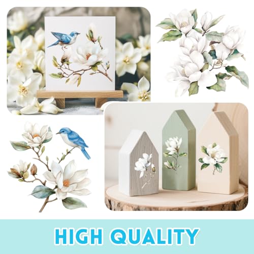 6 Sheets Magnolia Rub on Transfers for Furniture and Crafts 6x12 - style: Magnolia