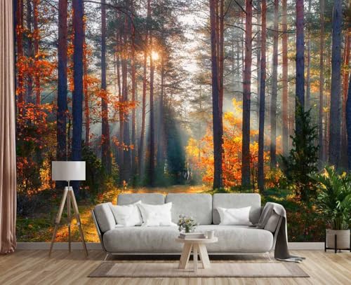 Jdayda Autumn Sunshine in The Woods Peel and Stick Wallpaper - color: MURAL-312, size: 129" x 96"