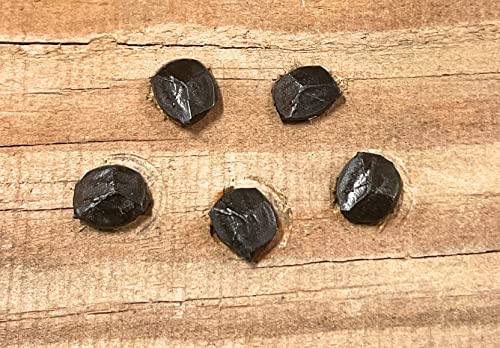 Metal Magery 5/8" Wrought Head Nails Decorative Antique Rose Head Nail QTY: 50