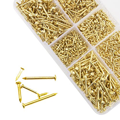 1200Pcs Small Tiny Nails Carbon Steel Brass Plated for Wooden DIY Micro Mini Nails M1.2/1.5 Assortment Kit 6 Sizes