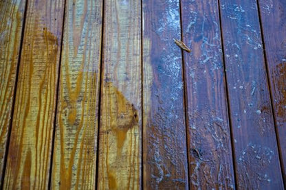 DEFY Exterior Wood Stain Stripper - Removes Deck & Fence Stain, Stain Stripper for Wood - 1 Gallon