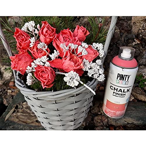 Chalk Finish Spray Paint - 11.8oz Water Based, Ultra Matte. Made With Real Chalk. Multiple Applications Including Furniture & Arts and Crafts. CK 798 Ash Grey - color: Ash Grey