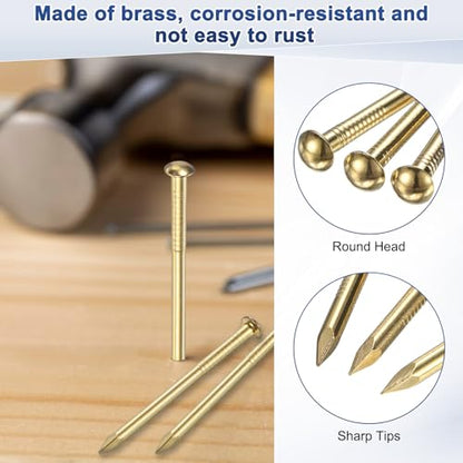 M METERXITY 100-Pack Small Tiny Nails, 2.8mm x 20mm Brass Precision MIni Nails Hardware Round Head for Wooden/DIY Crafts Decorative/Household Accessories/Picture Hanging - size: 2.8mm x 20mm