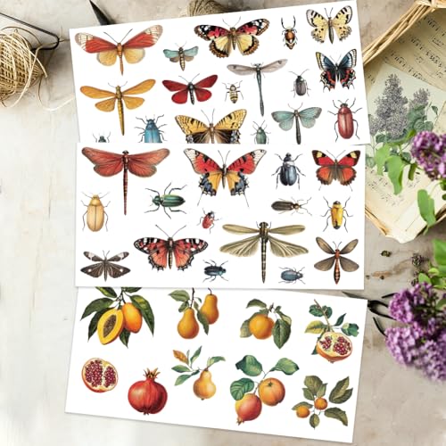 OLYCRAFT 3pcs/Set Insects Rub on Transfers for Furniture and Crafts 6x12 Inch Butterflies Furniture Decals Decor Fruits Furnitures Transfer Stickers for Wood Glass Decor Scrapbooking - style: Insect
