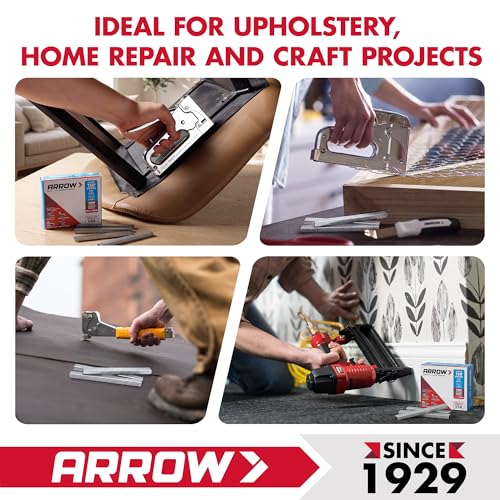 Arrow 504 T50 Staples, 1/4-Inch Leg, 3/8-Inch Crown, 5000 Count - size: 1/4 in.