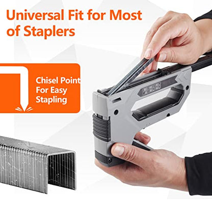 Heavy Duty T50 Staples 5/16 Inch 2000-Count 304 Stainless Steel - size: 5/16" - 2000 Count