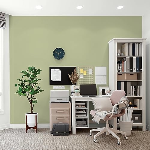 Glidden Total Interior Wall Paint & Primer All-in-One, Bahia Grass/Green, Flat, 1 Gallon - color: Bahia Grass, size: 128 Fl Oz (Pack of 1)
