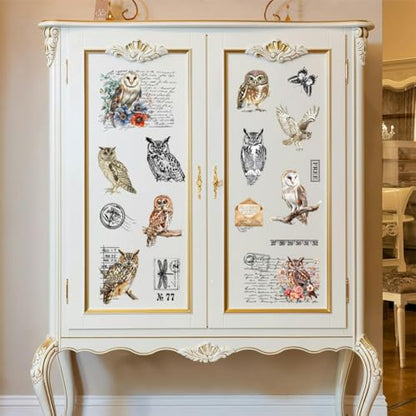 Peacoblue Owl and Text Rub On Transfers for Furniture Craft 6"x12" - style: Owl and Text