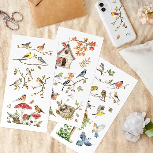 Joeyan 3 Sheets Rub On Transfers for Crafts and Furniture Birds Rub on Transfer Stickers Animal Decals for Wood Glass Metal Canvas Porcelain Plastic DIY Craft Home Decor, 6" x12" - style: Birds