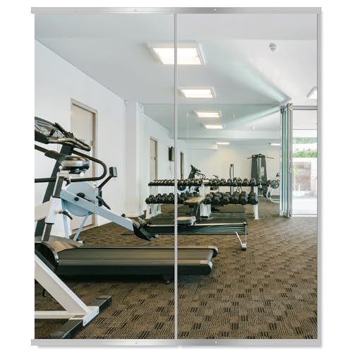 Delma Home Gym Mirror, 60''x25''x2PCS Silver - size: 60''x25''x2PCS