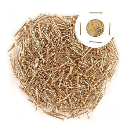 newlng 500PCS Small Nail Round Head Tiny Nails String Art Nails Hand-Made Hardware Accessories Fasteners Mini Nail 1.5mm X 20mm/0.06"X0.8"(DXL) Golden - color: Golden1.5*20mm