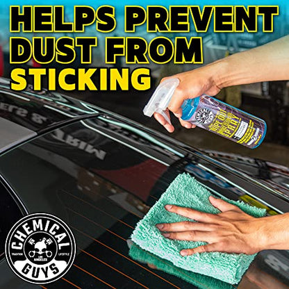 Chemical Guys, Wipe Out Surface Cleanser, Ceramic Coating Prep Spray, 16 oz