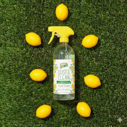Endust Plant-based Multi-surface Dusting & Cleaning Spray, 24 Fl Oz (Pack of 2)